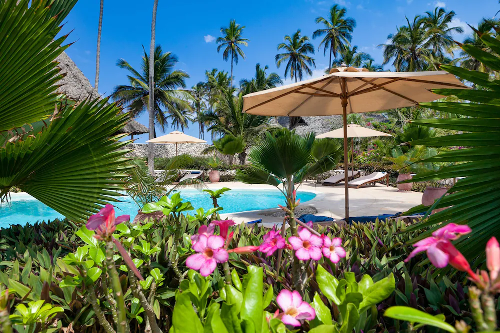 Smile beach hotel hotel 